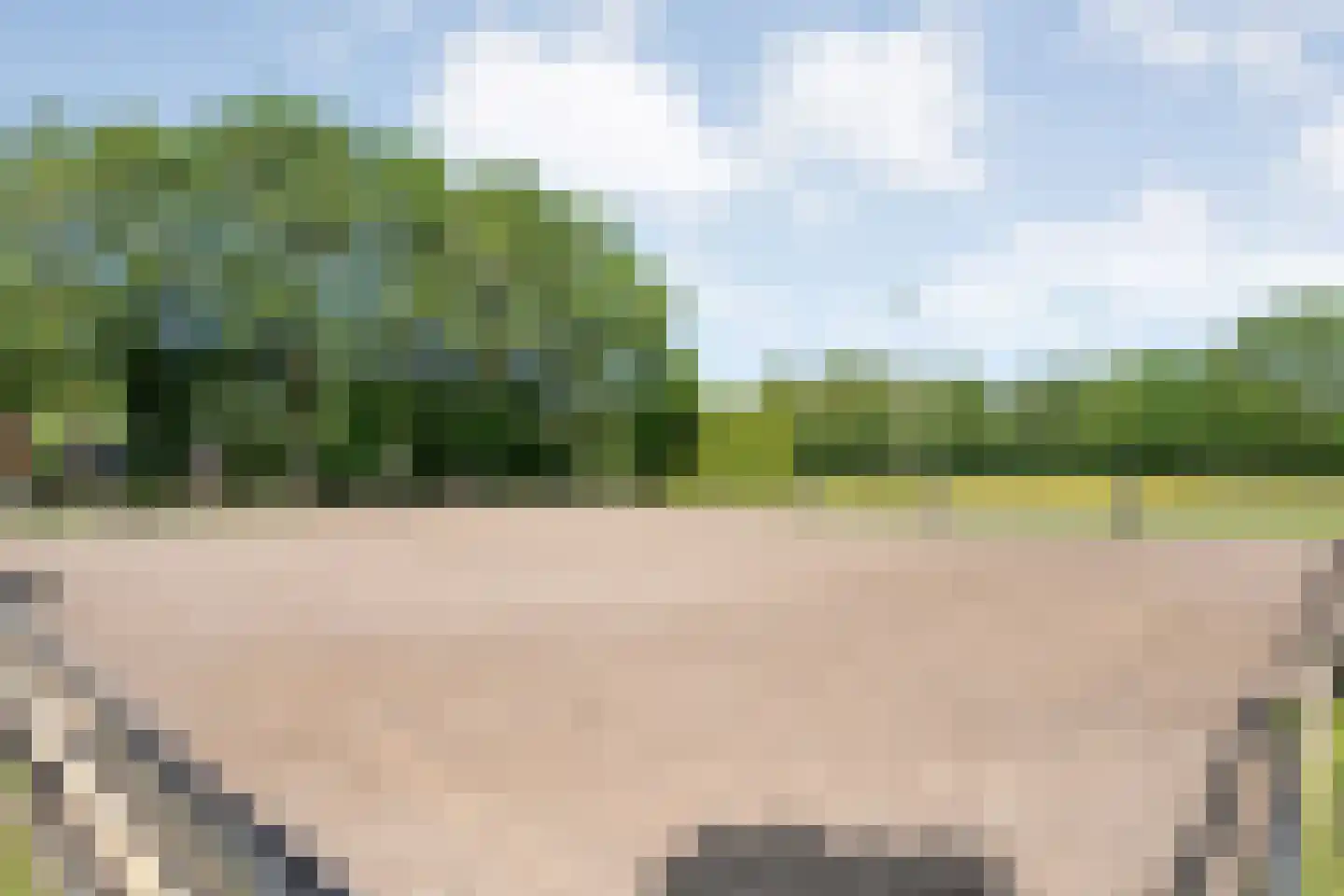 Meeuwenweg 23 Nieuw-Balinge thumbnail 62