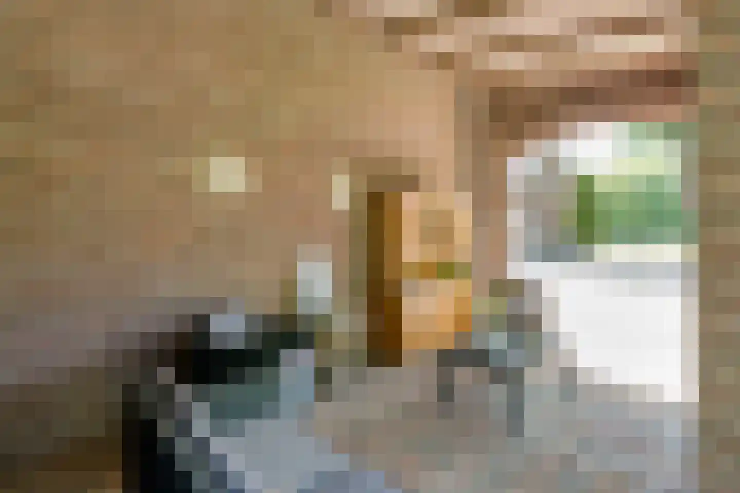 Meeuwenweg 23 Nieuw-Balinge thumbnail 67
