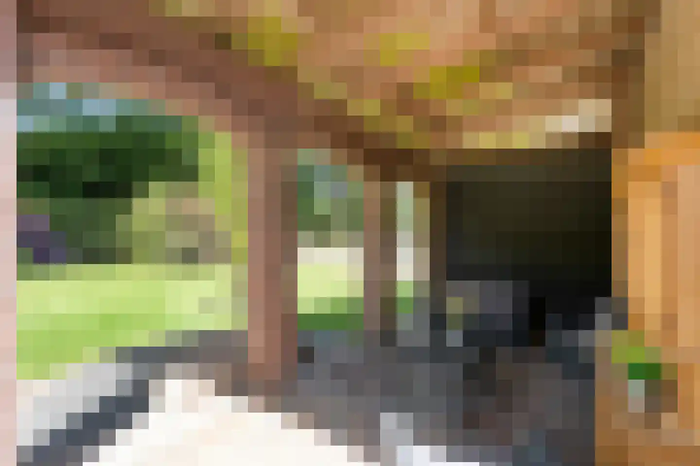 Meeuwenweg 23 Nieuw-Balinge thumbnail 68