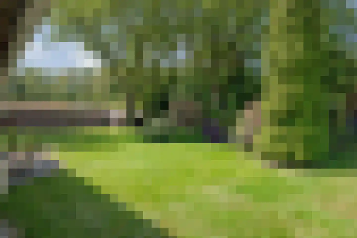 Meeuwenweg 23 Nieuw-Balinge thumbnail 69