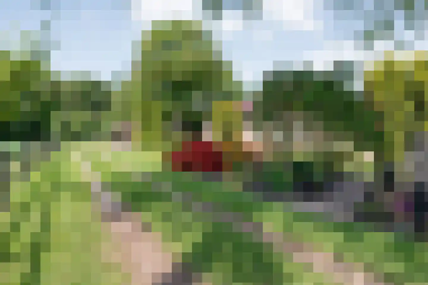 Meeuwenweg 23 Nieuw-Balinge thumbnail 7