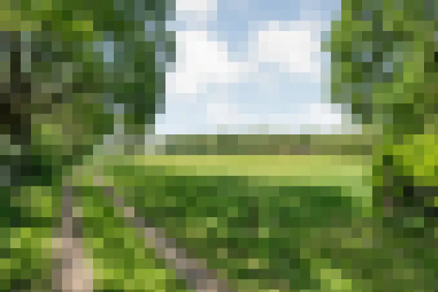 Meeuwenweg 23 Nieuw-Balinge thumbnail 72