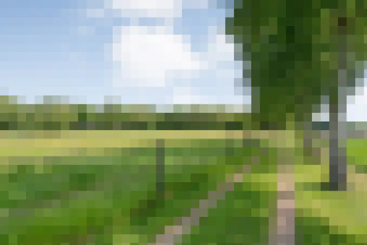 Meeuwenweg 23 Nieuw-Balinge thumbnail 73