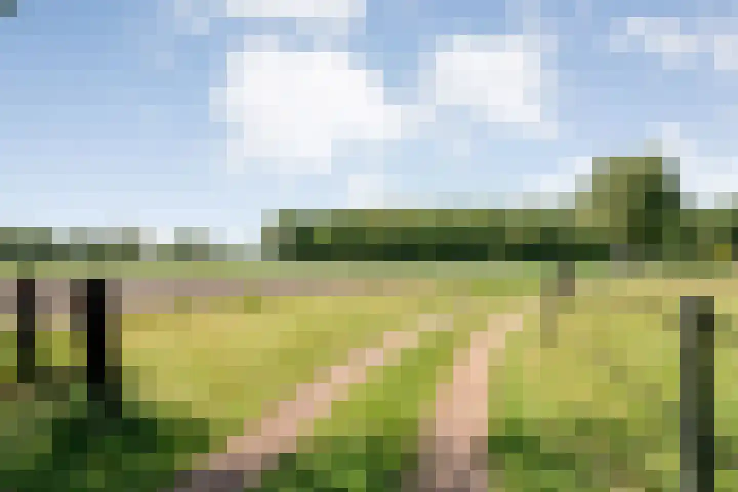 Meeuwenweg 23 Nieuw-Balinge thumbnail 74