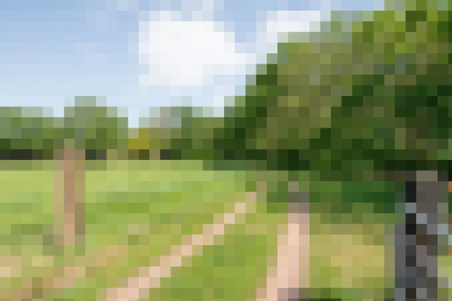 Meeuwenweg 23 Nieuw-Balinge thumbnail 75