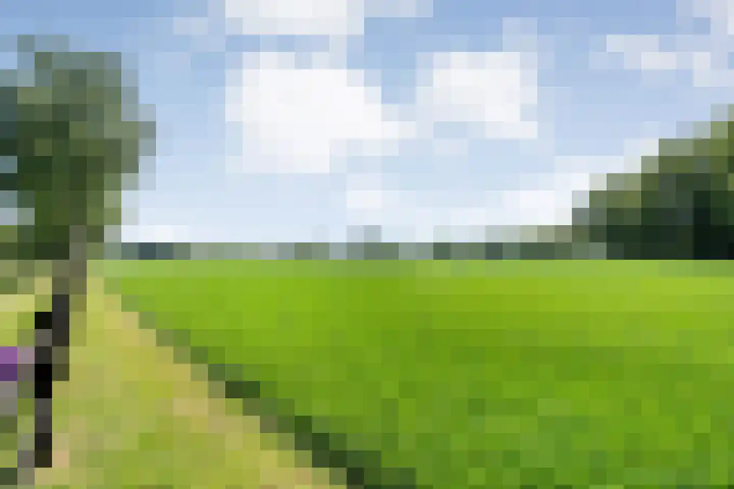 Meeuwenweg 23 Nieuw-Balinge thumbnail 76
