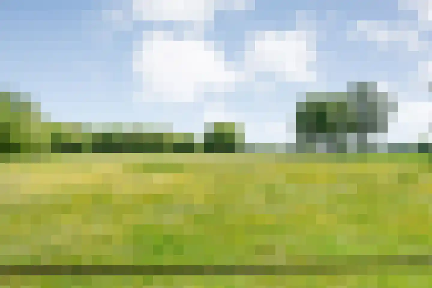 Meeuwenweg 23 Nieuw-Balinge thumbnail 77