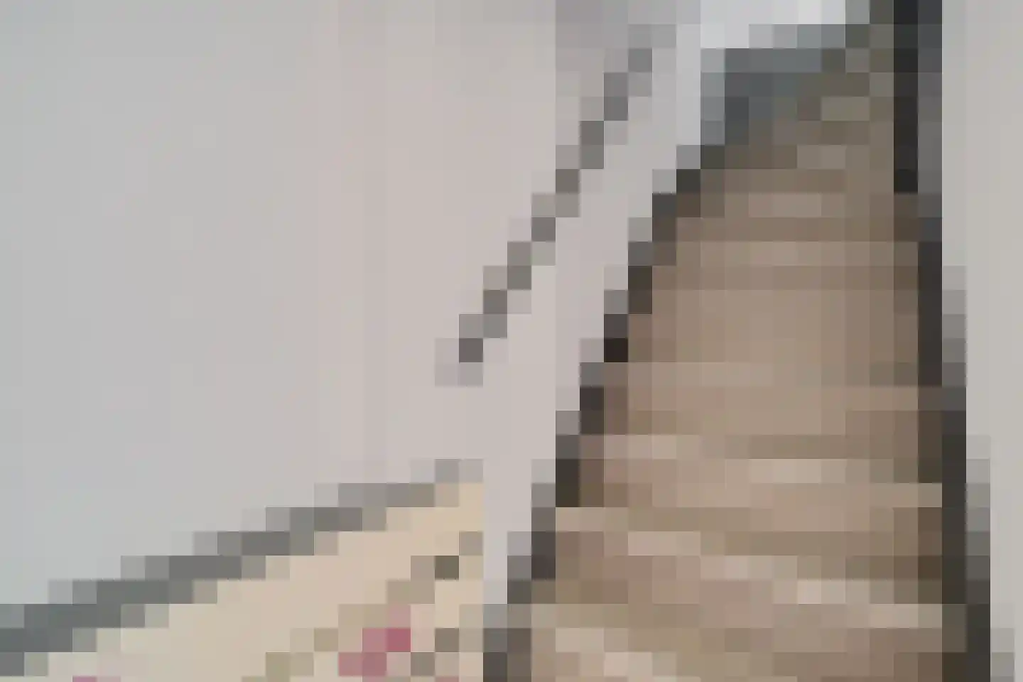 Meeuwenweide 4 Houten thumbnail 14