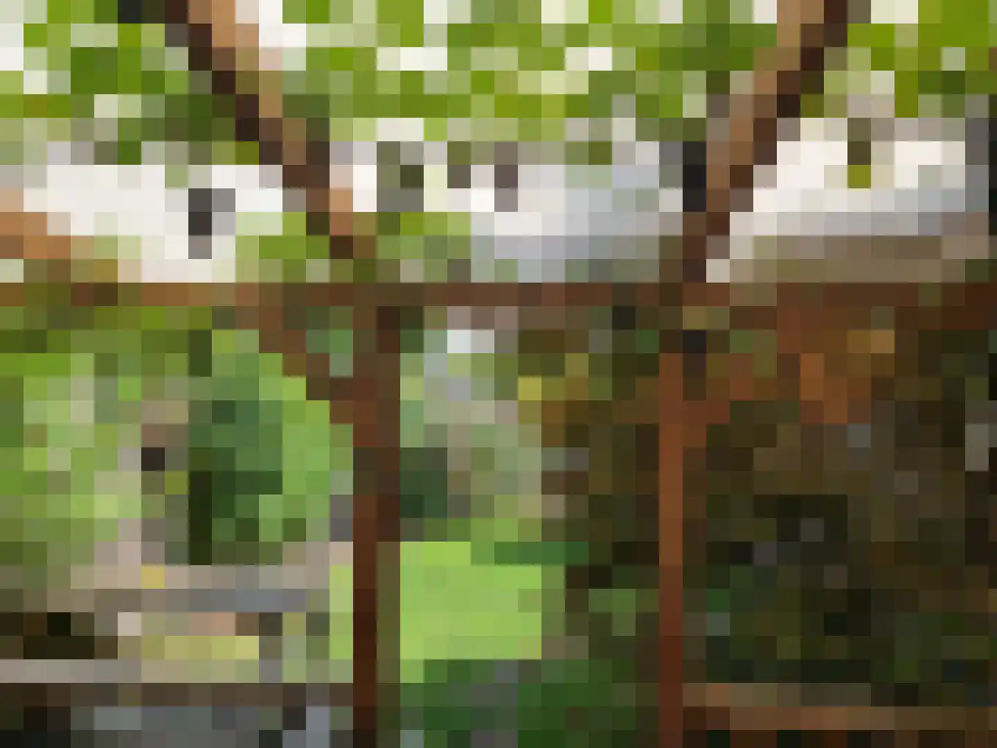 Meeuwenweide 4 Houten thumbnail 37