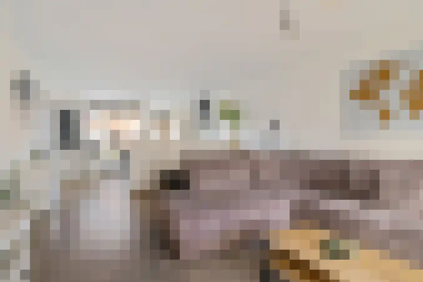 Meeuwenweide 4 Houten thumbnail 4