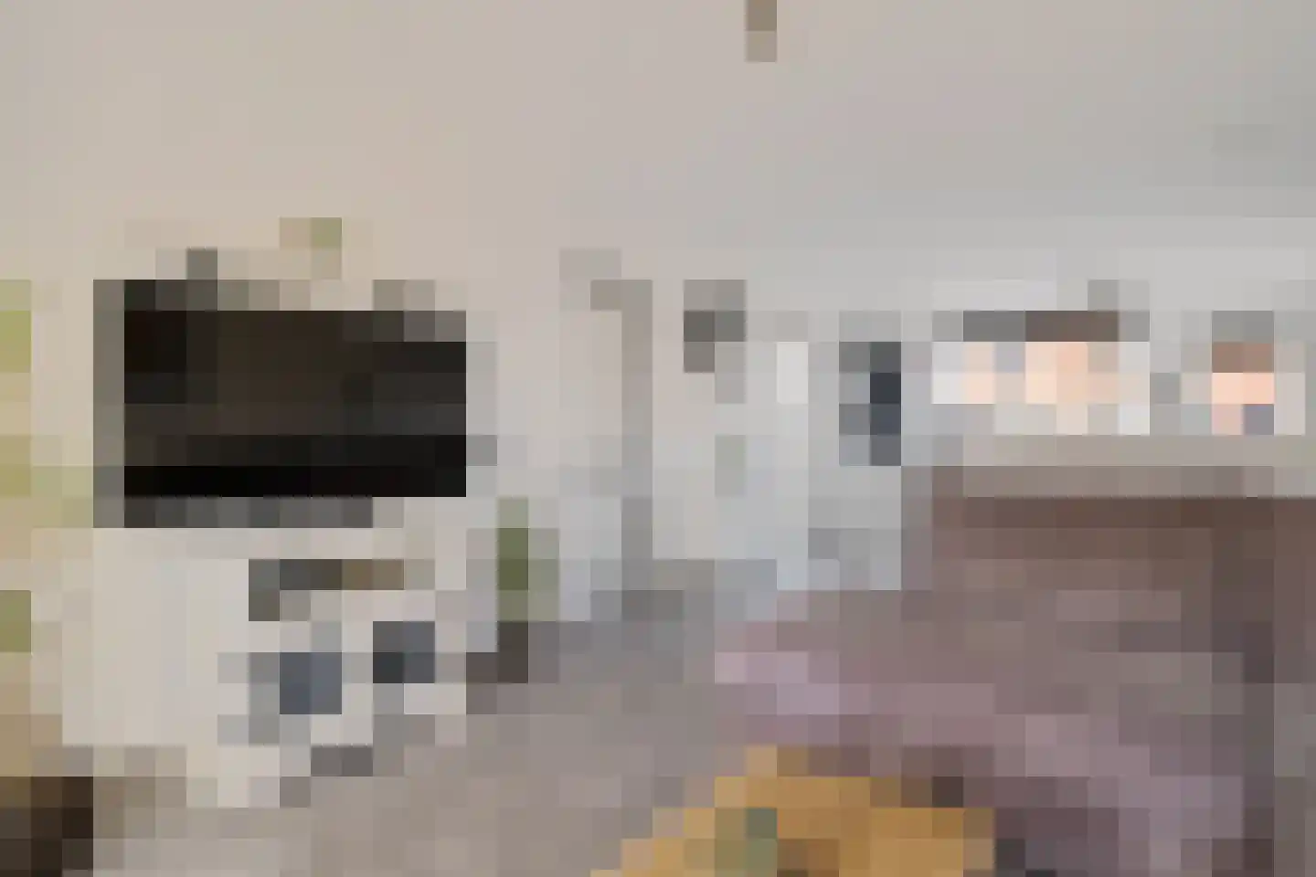Meeuwenweide 4 Houten thumbnail 5