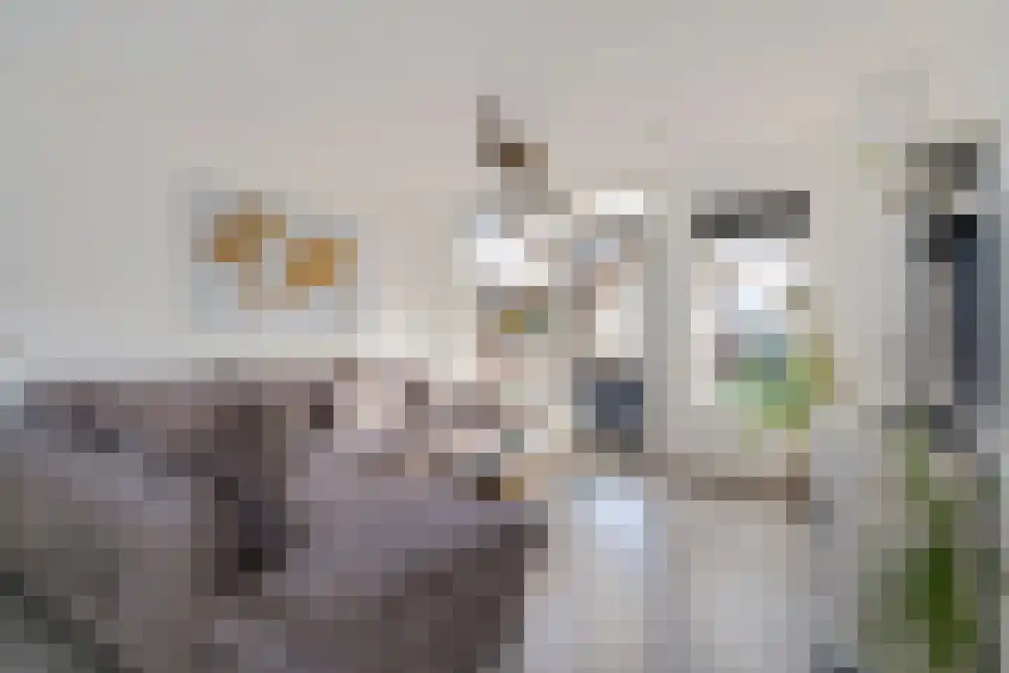 Meeuwenweide 4 Houten thumbnail 7