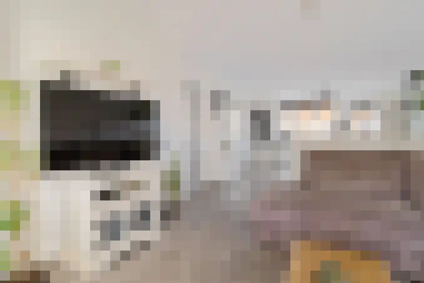 Meeuwenweide 4 Houten thumbnail 8