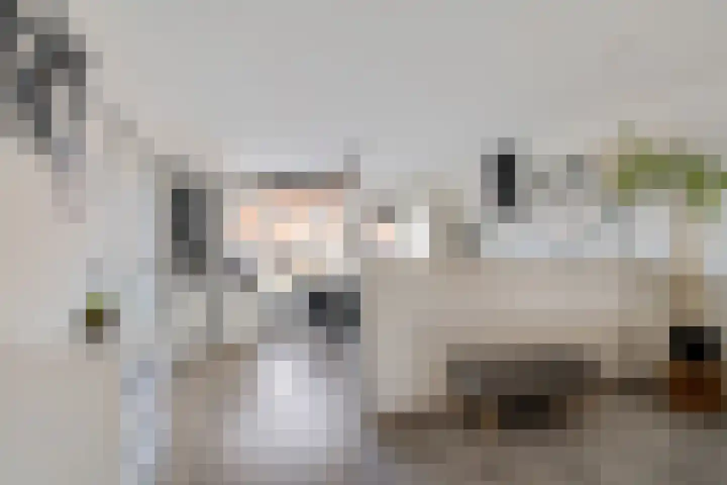 Meeuwenweide 4 Houten thumbnail 9