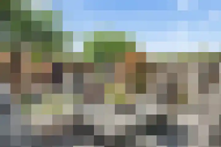 Meeuwenweide 6 Houten thumbnail 12