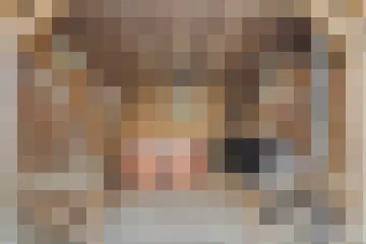 Meeuwenweide 6 Houten thumbnail 15