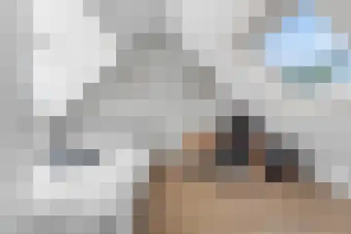 Meeuwenweide 6 Houten thumbnail 30