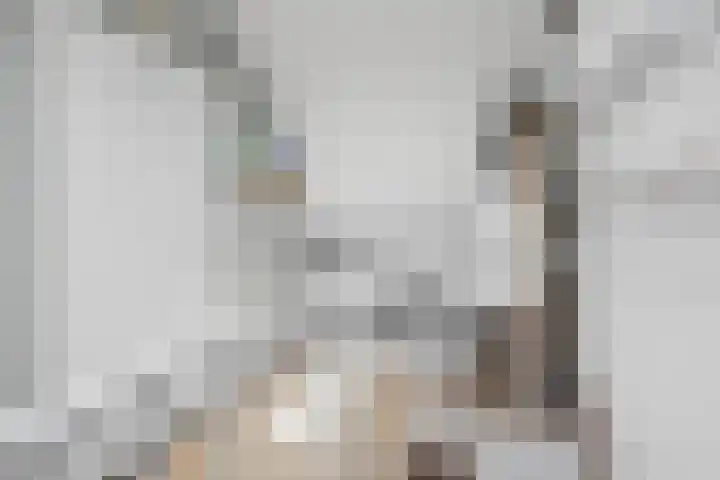 Meeuwenweide 6 Houten thumbnail 33