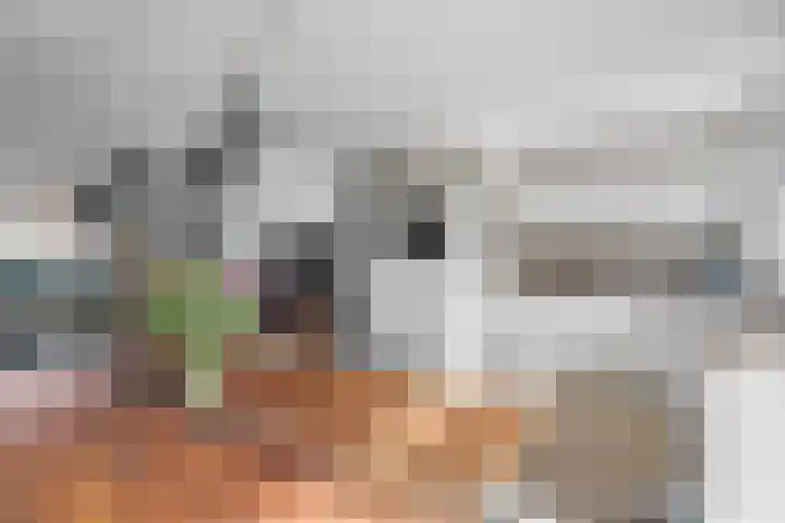 Meeuwenweide 6 Houten thumbnail 7
