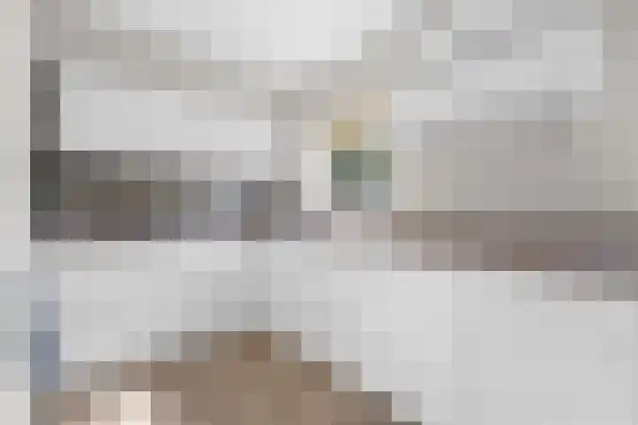 Meeuwenweide 6 Houten thumbnail 9