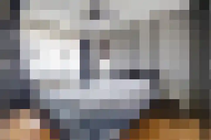 Meeuwenwetering 16 Hoogvliet Rotterdam thumbnail 14