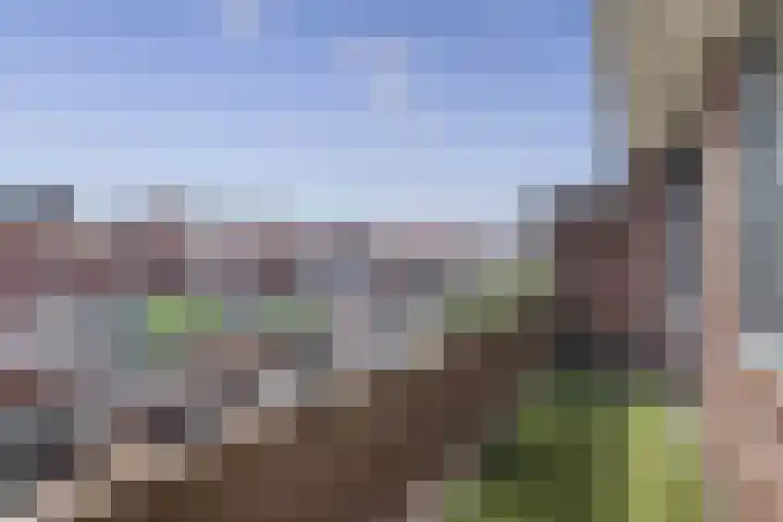 Meeuwenwetering 16 Hoogvliet Rotterdam thumbnail 16