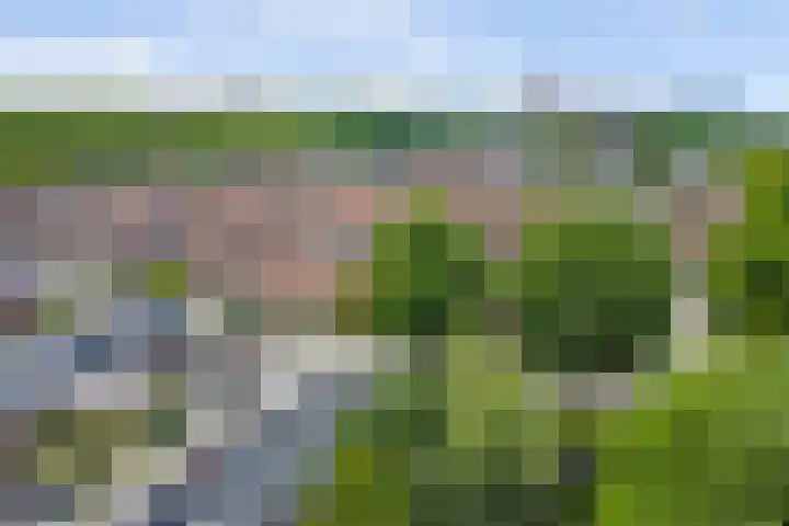Meeuwenwetering 16 Hoogvliet Rotterdam thumbnail 27