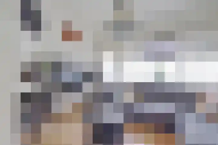 Meeuwenwetering 16 Hoogvliet Rotterdam thumbnail 4