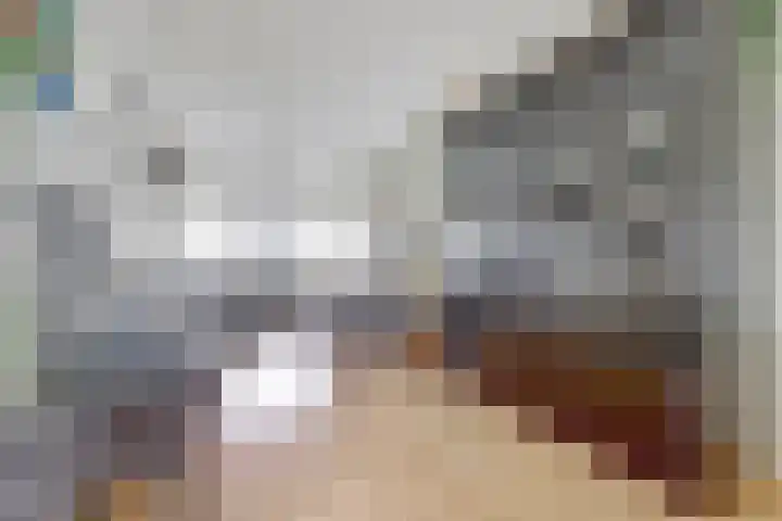Meeuwenwetering 16 Hoogvliet Rotterdam thumbnail 5