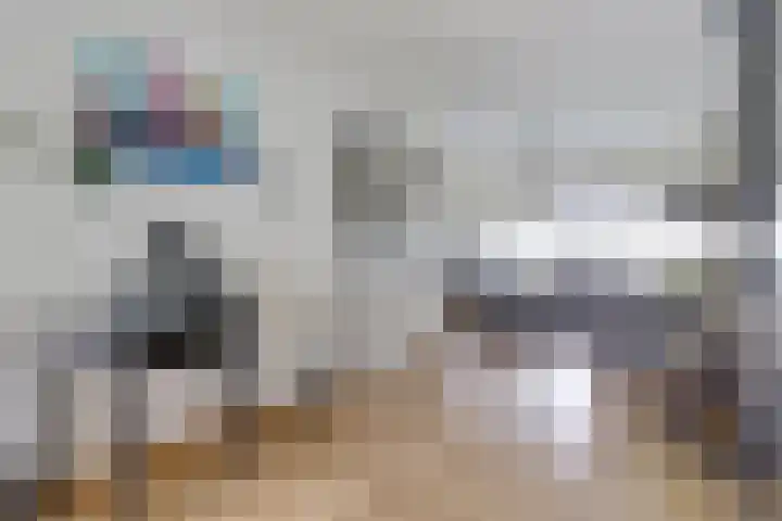 Meeuwenwetering 16 Hoogvliet Rotterdam thumbnail 6