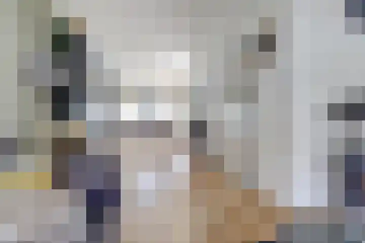 Meeuwenwetering 16 Hoogvliet Rotterdam thumbnail 7