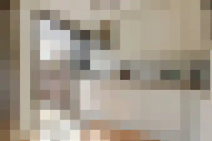 Meeuwenwetering 16 Hoogvliet Rotterdam thumbnail 9