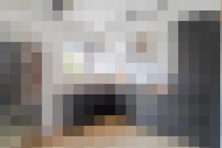 Meeuwenwetering 33 Hoogvliet Rotterdam thumbnail 11