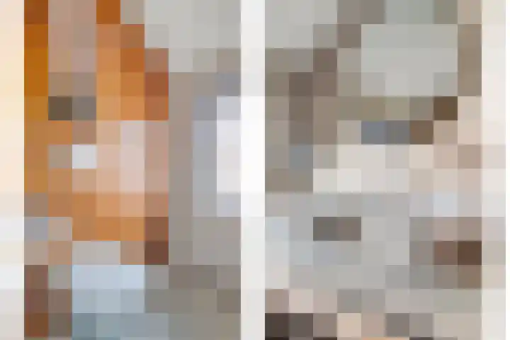 Meeuwenwetering 33 Hoogvliet Rotterdam thumbnail 13