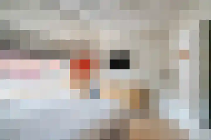 Meeuwenwetering 33 Hoogvliet Rotterdam thumbnail 19