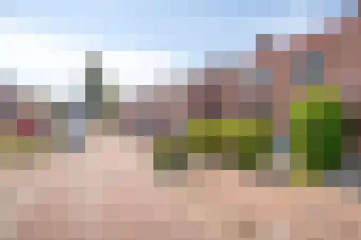 Meeuwenwetering 33 Hoogvliet Rotterdam thumbnail 24