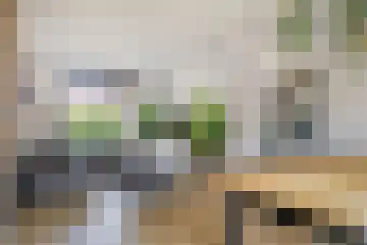 Meeuwenwetering 33 Hoogvliet Rotterdam thumbnail 8