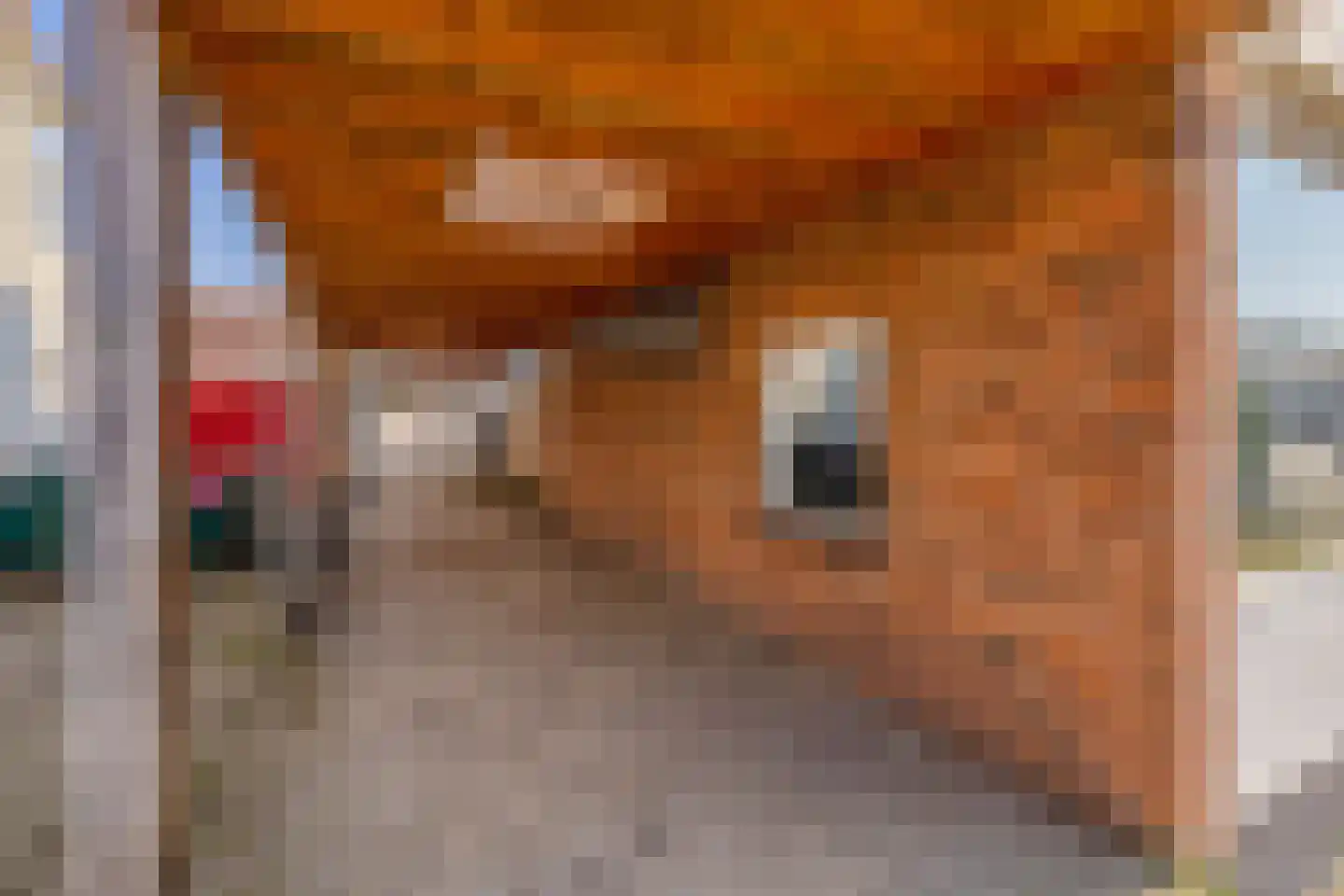 Meeuwenwetering 34 Hoogvliet Rotterdam thumbnail 11