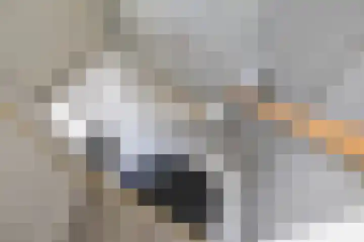 Meeuwerderbaan 26 a Groningen thumbnail 8