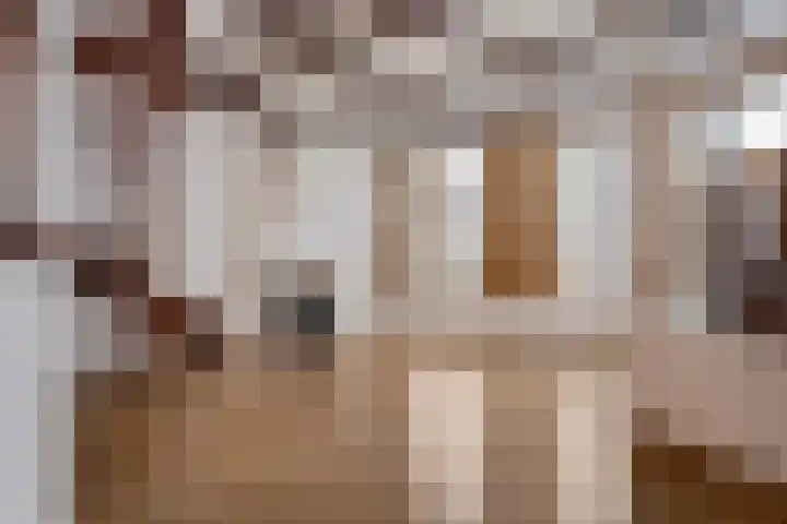 Meeuwerderweg 101 Groningen thumbnail 11