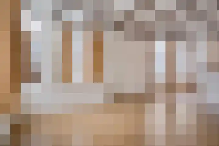 Meeuwerderweg 101 Groningen thumbnail 12