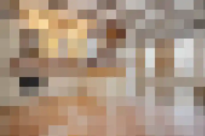 Meeuwerderweg 101 Groningen thumbnail 19