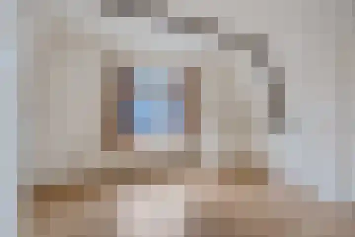 Meeuwerderweg 101 Groningen thumbnail 34