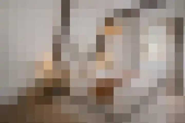 Meeuwerderweg 101 Groningen thumbnail 35