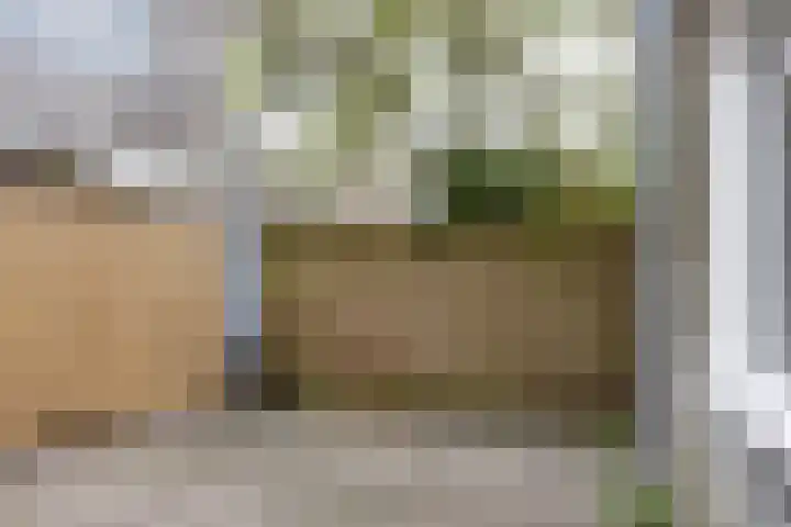 Meeuwerderweg 127 Groningen thumbnail 17