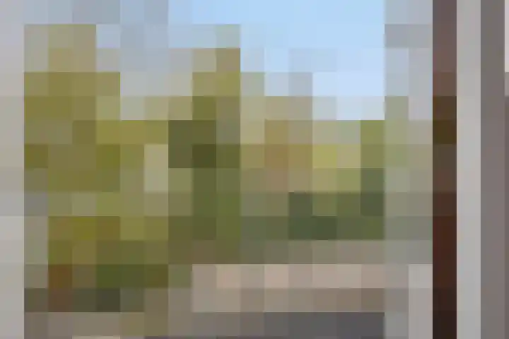 Meeuwerderweg 127 Groningen thumbnail 27
