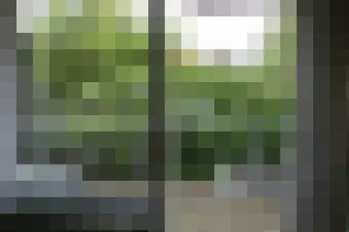 Meeuwerderweg 127 Groningen thumbnail 28