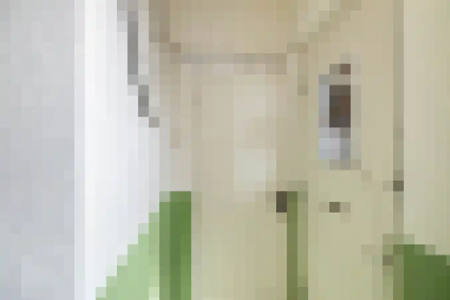 Meeuwerderweg 131 1 Groningen thumbnail 16
