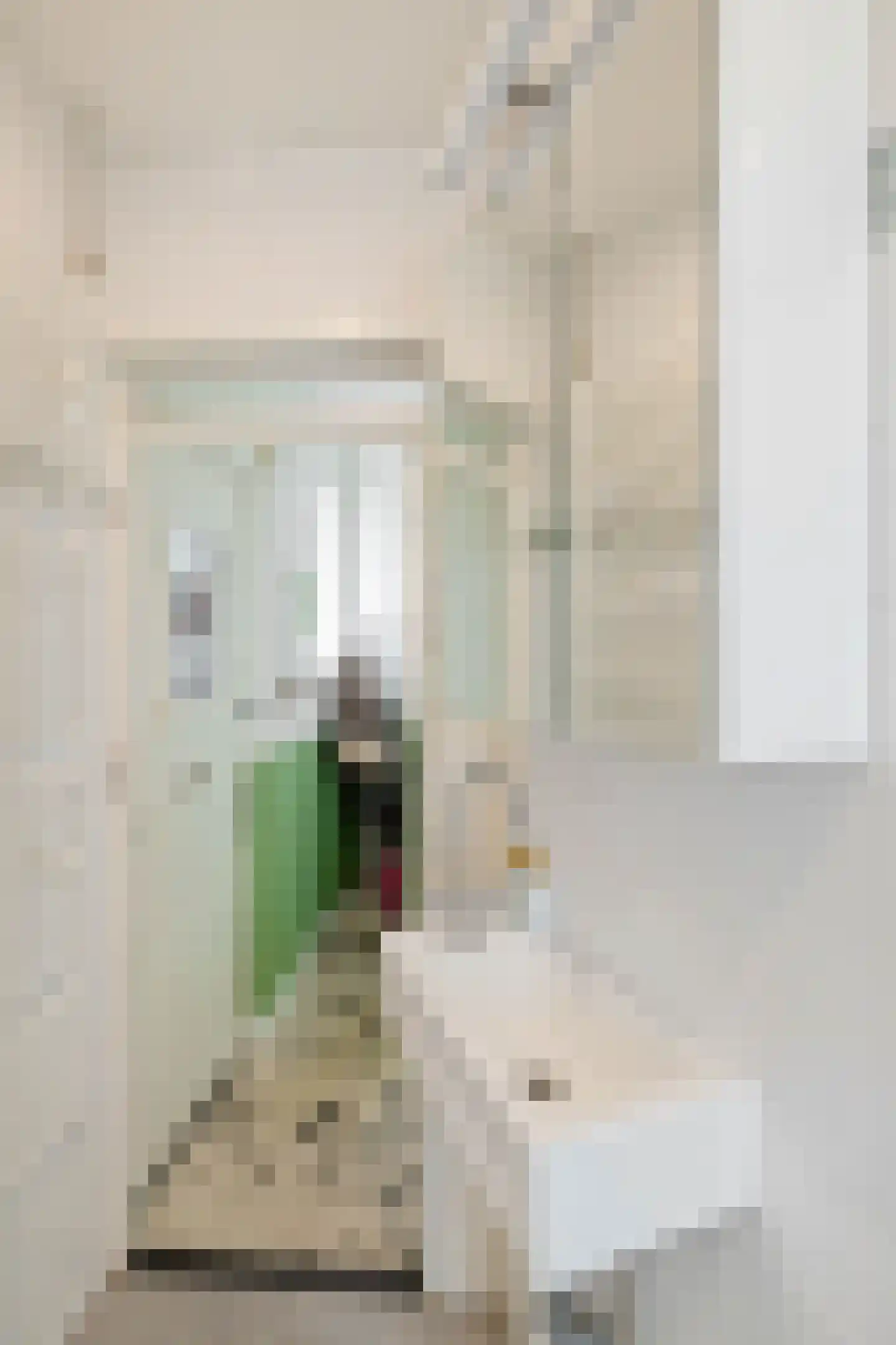 Meeuwerderweg 131 1 Groningen thumbnail 31