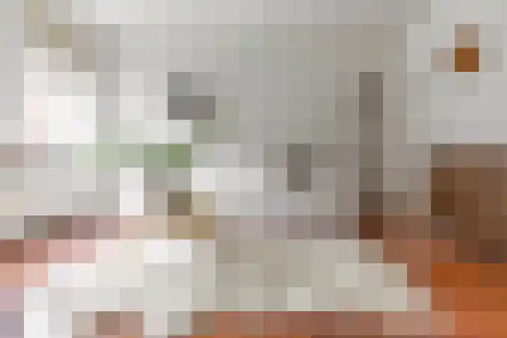 Meeuwerderweg 25 Groningen thumbnail 13